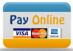 APA online payments